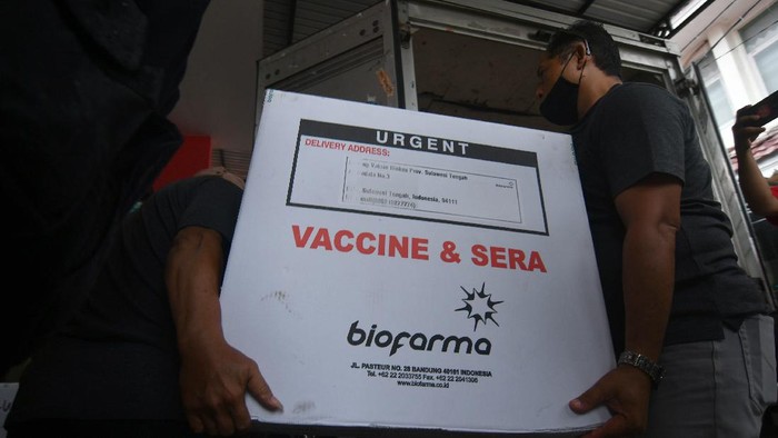 Vaksin COVID-19 Sinovac mulai didistribusikan ke berbagai daerah di Indonesia. Proses pendistribusian dilakukan dengan pengawalan ketat polisi.