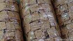Meski Kedelai Mahal, Pengusaha Tempe Goreng Belum Naikan Harga