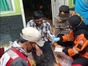 Cerita Pemburu Babi Hutan yang Tersesat di Gunung Gede