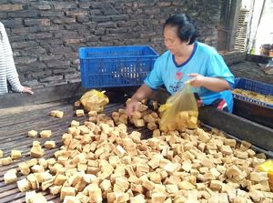 Harga Kedelai Tak Terjangkau, 30 Perajin Tempe Kota Batu Setop Produksi
