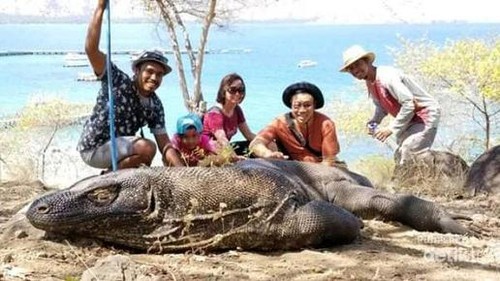 Taman Nasional Komodo