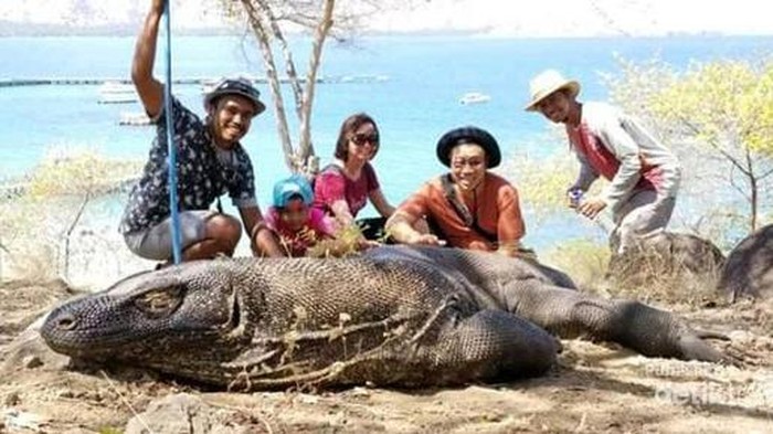 Taman Nasional Komodo Taman Nasional Komodo