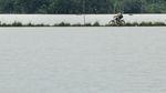 Terendam Banjir, Sawah di Indramayu Bak Lautan