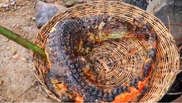 Wanita Laos Ini Hidup di Hutan, Masak Kodok, Ular hingga Buaya