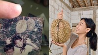 “Emang ga bisa jauh2 dari duren anaknya 😘,” tulis Glenca di keterangan foto. Wah, ternyata ia pencinta durian! Foto: Instagram glencachysaraofficial