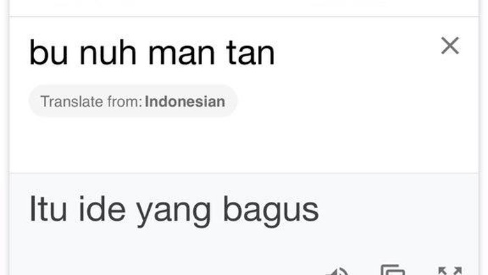 Google translate inggris indonesia dan sebaliknya disebut foto