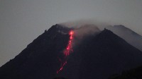 Arah guguran lava pijar itu dominan ke barat yakni di alur Kali Krasak dengan jarak luncur maksimal 500 meter. Antara Foto/Ranto Kresek.