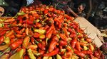 Nah Lho, Harga Cabai Tembus Rp 90.000/Kg