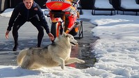 Motor itu merupakan kejutan dari tim Repsol Honda yang tidak ia sangka-sangka terparkir di depan rumahnya. Foto: Instagram @box_repsol