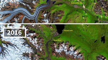 Air lelehan gletser Kaskawulsh mengubah ekosistem hilir. Foto: NASA via Bored Panda