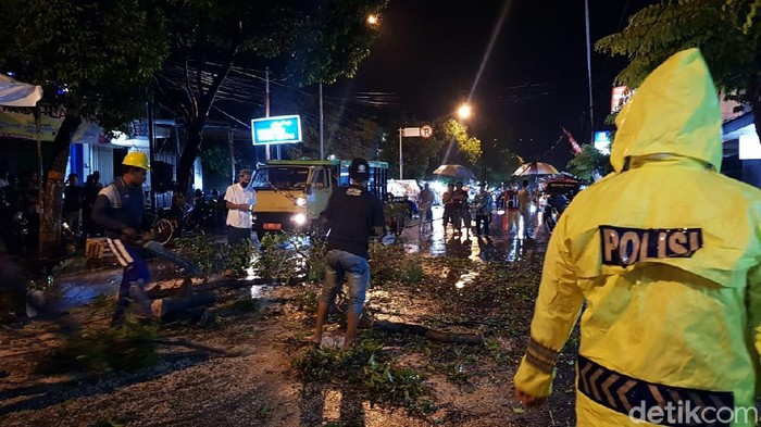pohon jatuh timpa pemotor hingga tewas
