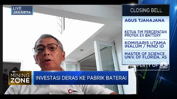 Sambut Investasi Baterai Listrik, IBH Siap Bermitra Dengan LG (CNBC Indonesia TV)