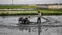 Lahan makam ini terletak di dekat sawah milik warga.
