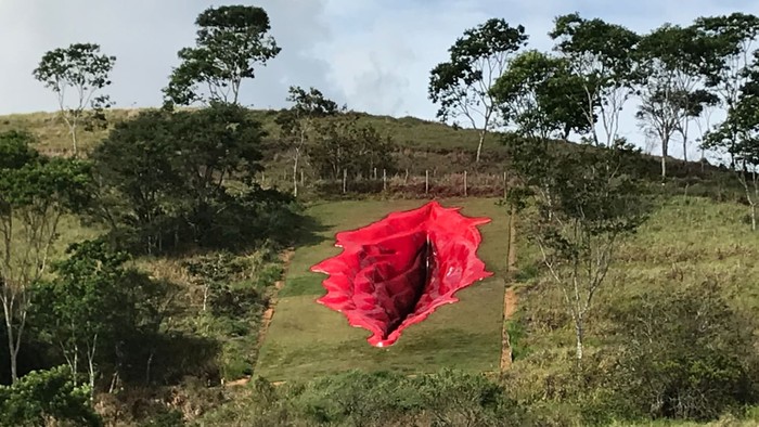 Vagina raksasa Brasil