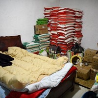 Tak kurang dari 500 kg sayur, daging dan nasi yang dia habiskan setiap harinya. Dan itu hanya untuk makan hewan-hewan di rumahnya. Foto: NOEL CELIS/AFP