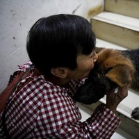 Seperti dilansir AFP, Wen Juhong pertama kali menyelamatkan anjing terlantar saat usia 20 tahun. Sejak saat itu dia tak berhenti memberi rumah untuk hewan-hewan terlantar. Foto: NOEL CELIS/AFP