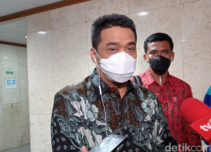 Ahmad Riza Patria (Wilda Hayatun Nufus/detikcom).