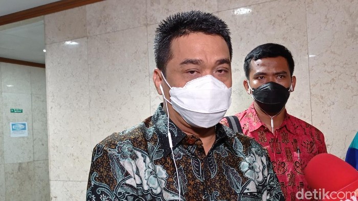 Ahmad Riza Patria (Wilda Hayatun Nufus/detikcom).