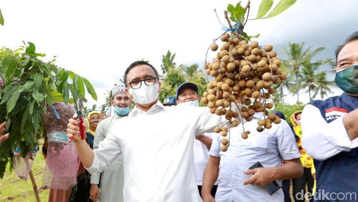 bupati anas