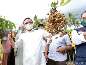 Tingkatkan Ketahanan Pangan, Bupati Anas Dorong Warga Manfaatkan Pekarangan