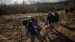 Hindari Dingin, Migran Bosnia Nekat Lintasi Perbatasan Uni Eropa