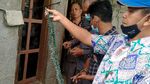 Ini Ribuan Keping Uang Kuno yang Ditemukan Petani di Pekalongan