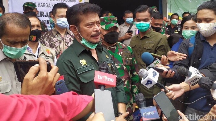 Mentan Syahrul Yasin Limpo (Luqman Nurhadi Arunanta/detikcom).