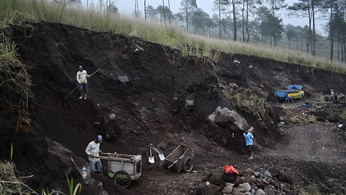 PENAMBANGAN PASIR ILEGAL DI GUNUNG GUNTUR Pekerja menambang pasir secara ilegal di kawasan Gunung Guntur, Tarogong Kaler, Kabupaten Garut, Jawa Barat, Kamis (7/1/2021). Pertambangan liar di kawasan Gunung Guntur yang telah menjadi kawasan konservasi cagar alam dan taman wisata alam tersebut dikhawatirkan dapat menyebabkan bencana longsor dan banjir lahar dingin. ANTARA FOTO/Candra Yanuarsyah/agr/aww.