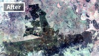Seperti ini penampakan sebelum dan sesudah kebakaran Gurun Tanami di Australia.