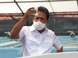 Trenggono Kejar PNBP Perikanan Tangkap Rp 12 T, Caranya Bagaimana?
