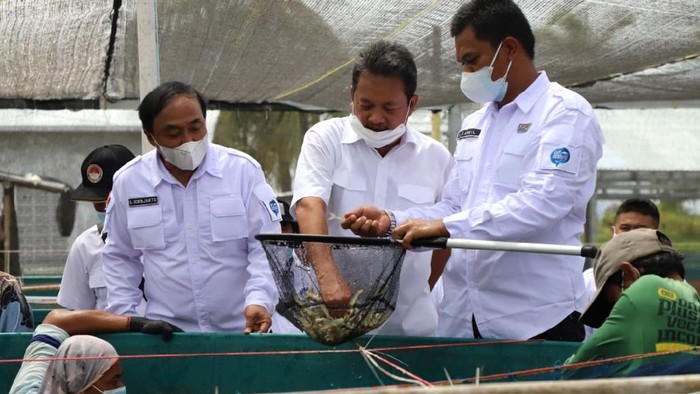 Menteri Kelautan dan Perikanan Sakti Wahyu Trenggono resmikan tambak udang di Karawang. Pembangunan diharapkan dapat tingkatkan hasil produksi udang nasional.