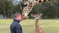 Penjaga kebun binatang Australia ini bernama Chad Staples. Tidak sekedar penjaga, dia yang punya kebun binatang.