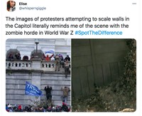 Meme Capitol