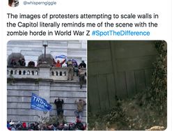 Kerusuhan di Gedung Capitol Jadi Bahan Meme