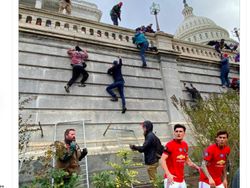 Kerusuhan di Gedung Capitol Jadi Bahan Meme