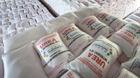 Jumlah alokasi pupuk bersubsidi di tahun 2021 sendiri mengalami peningkatan dibandingkan tahun sebelumnya, menjadi total sebesar 9.041.475 ton pupuk ditambah 1.500.000 liter pupuk organik cair. Adapun rincian alokasi pupuk bersubsidi di tahun 2021 adalah 4.166.669 ton urea, 640.812 ton SP36, 784.144 ton ZA, 2.662.000 ton NPK, 770.850 ton organic dan 17.000 ton NPK formula khusus. 