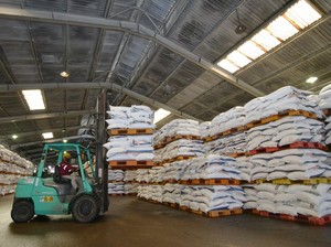 BUMN Dorong Penyerapan Pupuk Subsidi, Begini Caranya