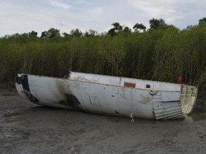 Lapan Update soal Puing di Kalteng: Fairing Roket Long March/CZ-8