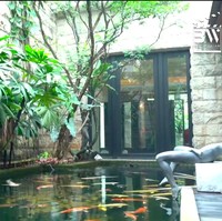 Kolam ikan bergaya tropis di rumah Harry Su. (Foto: YouTube/Boy William)