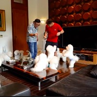 Hunian mewah ini juga menjadi rumah bagi anjing-anjing peliharan Harry. Tak tanggung-tanggung, ia memiliki 30 anjing jenis Bichon. (Foto: YouTube/Boy William)