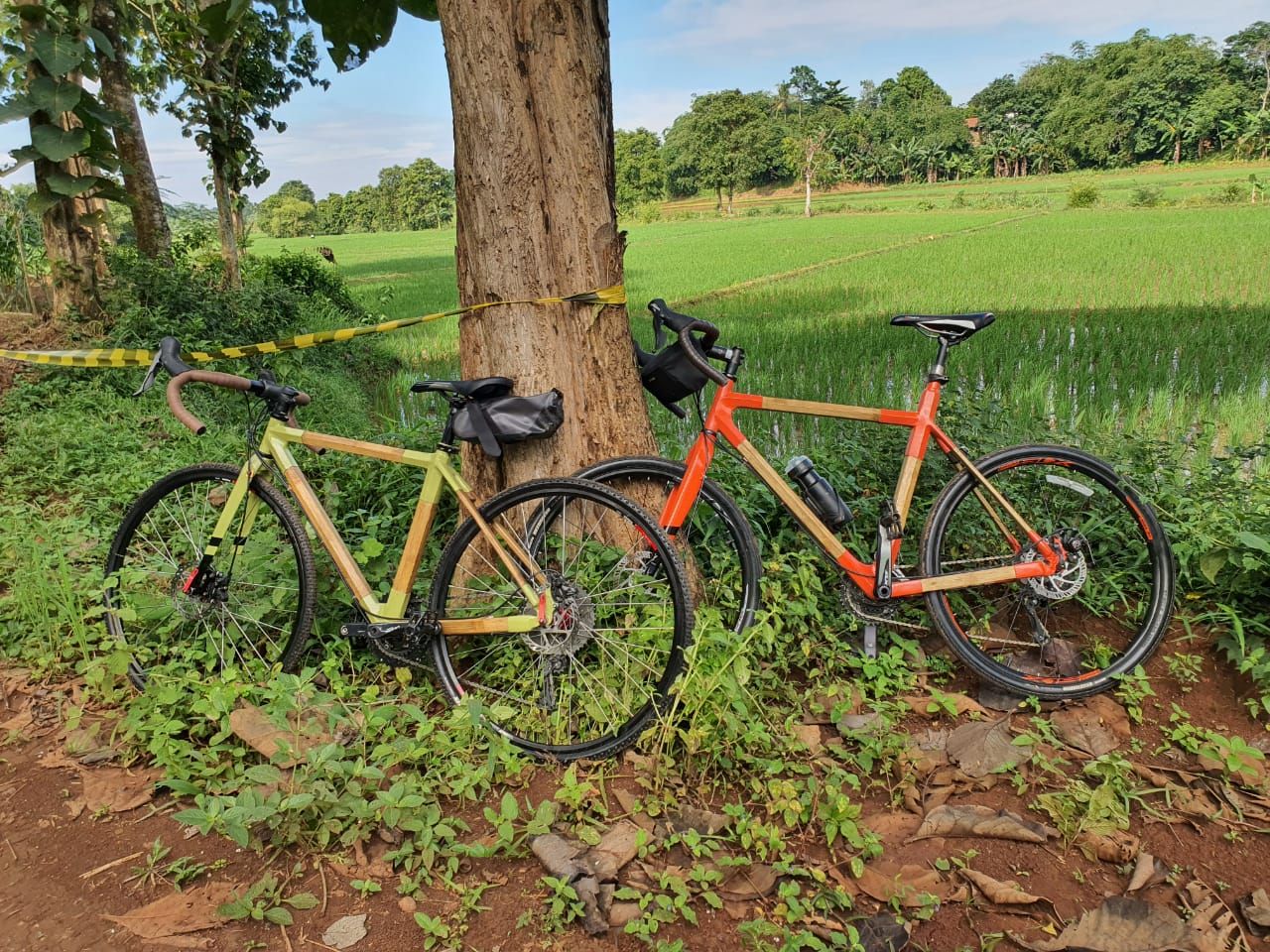 Sepeda Bambu