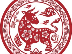 Ramalan Shio Kerbau 2026: Karier Melejit dan Keuangan Meningkat