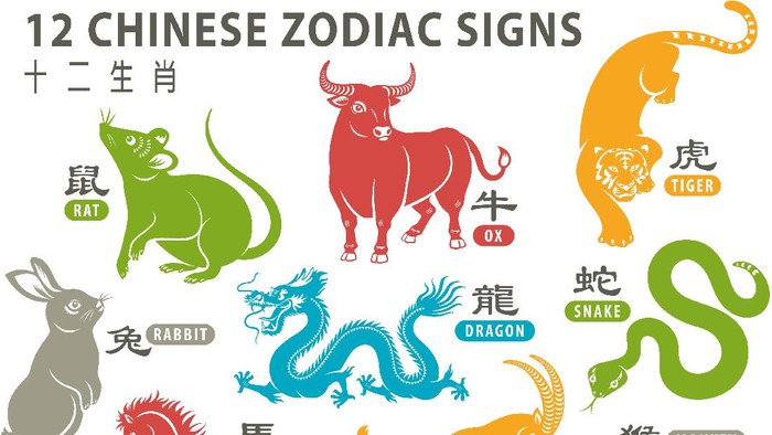 12 Chinese zodiac animals are used to represent years of the lunar calendar, in order are: rat, ox, tiger, rabbit, dragon, snake, horse, goat, monkey, rooster, dog and pig.