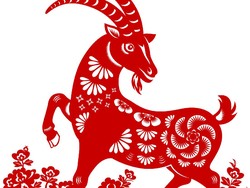 Ramalan Shio Kambing 2026: Ada Potensi Sukses, Jangan Terlalu Ambisius