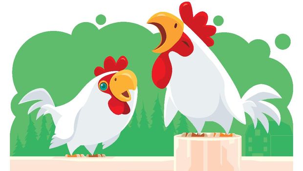 shio ayam 2021