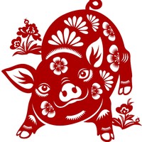 Ramalan Shio Babi 2026: Kelola Keuangan, Asmara Berpotensi Ketemu Jodoh