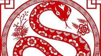 Ramalan Shio Ular 2026: Rezeki Melimpah, Asmara Kurang Stabil