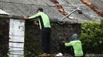 Taman Vertikal Tugu Tani Dipercantik