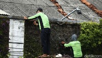 Kini sebagian besar tanaman yang mengering mati, diganti dengan tanaman hias yang baru dan lebih segar.