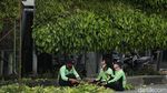 Taman Vertikal Tugu Tani Dipercantik